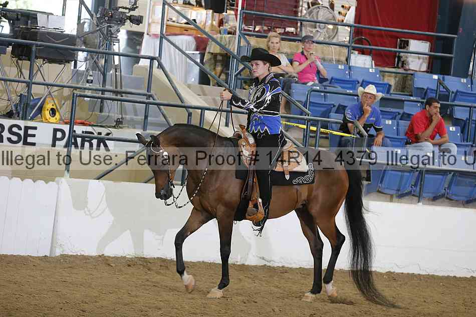 Proof Number 14r14_4379