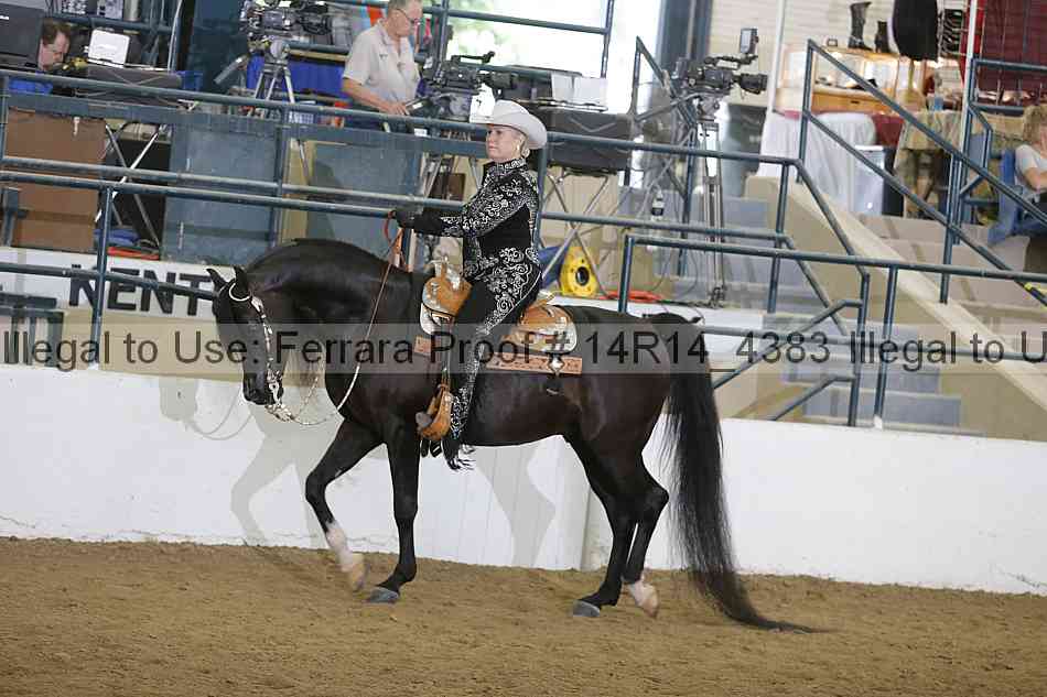 Proof Number 14r14_4383