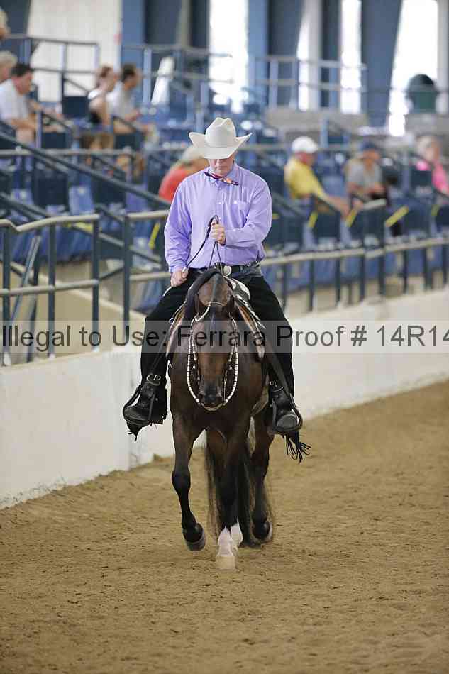 Proof Number 14r14_4385