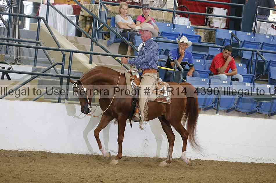 Proof Number 14r14_4390