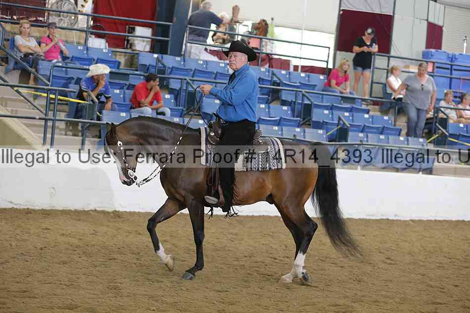 Proof Number 14r14_4393