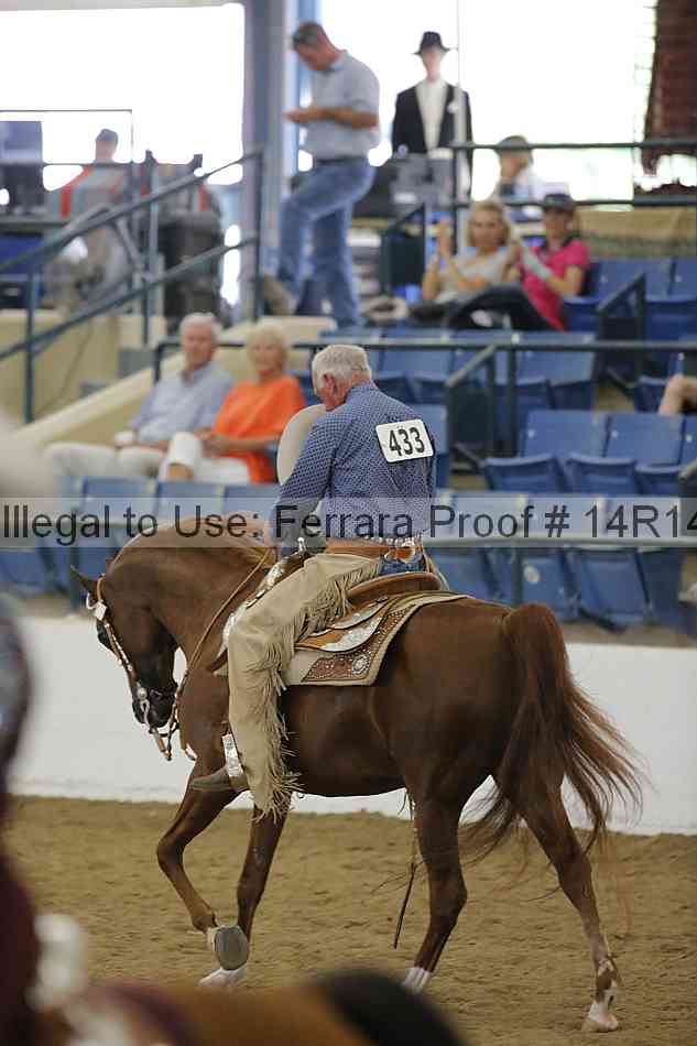 Proof Number 14r14_4397