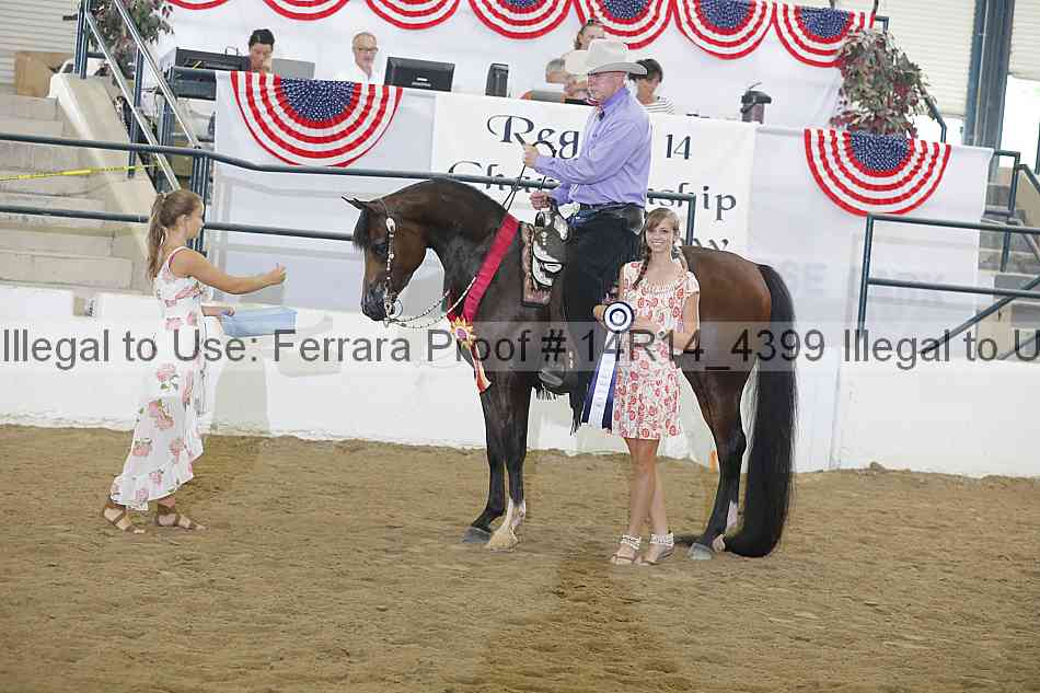 Proof Number 14r14_4399