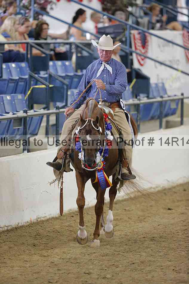 Proof Number 14r14_4404