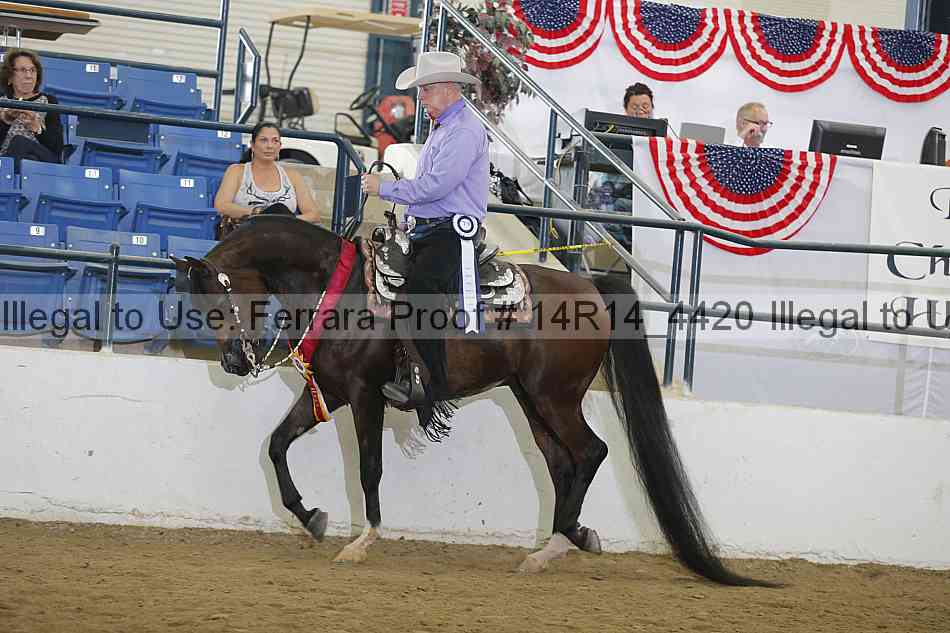 Proof Number 14r14_4420