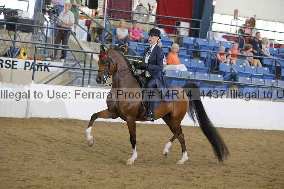 Proof Number 14r14_4437