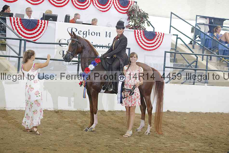 Proof Number 14r14_4459