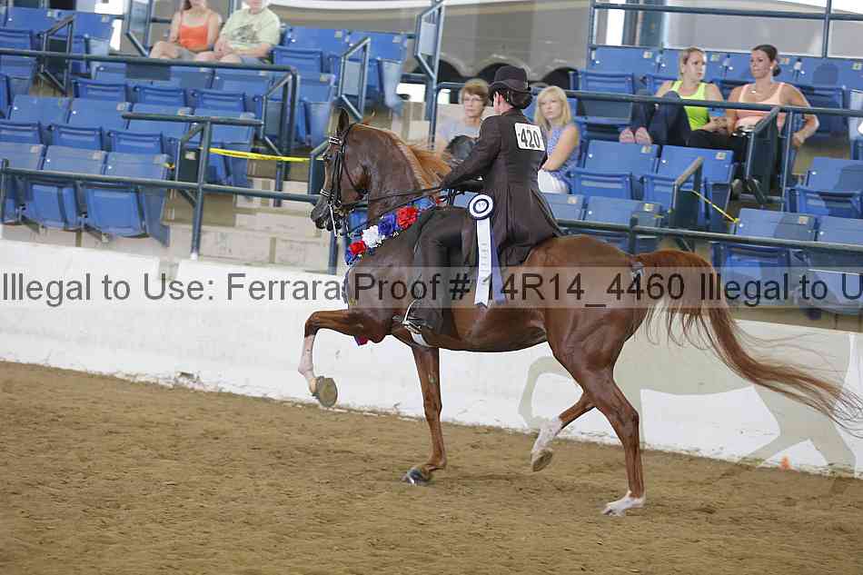 Proof Number 14r14_4460