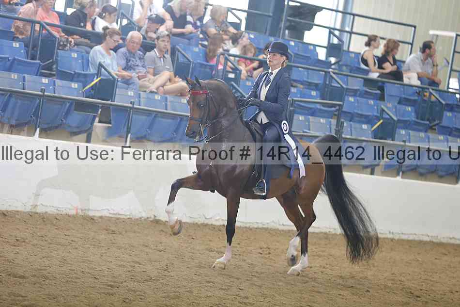 Proof Number 14r14_4462