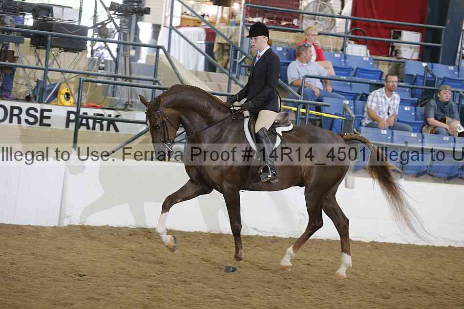 Proof Number 14r14_4501