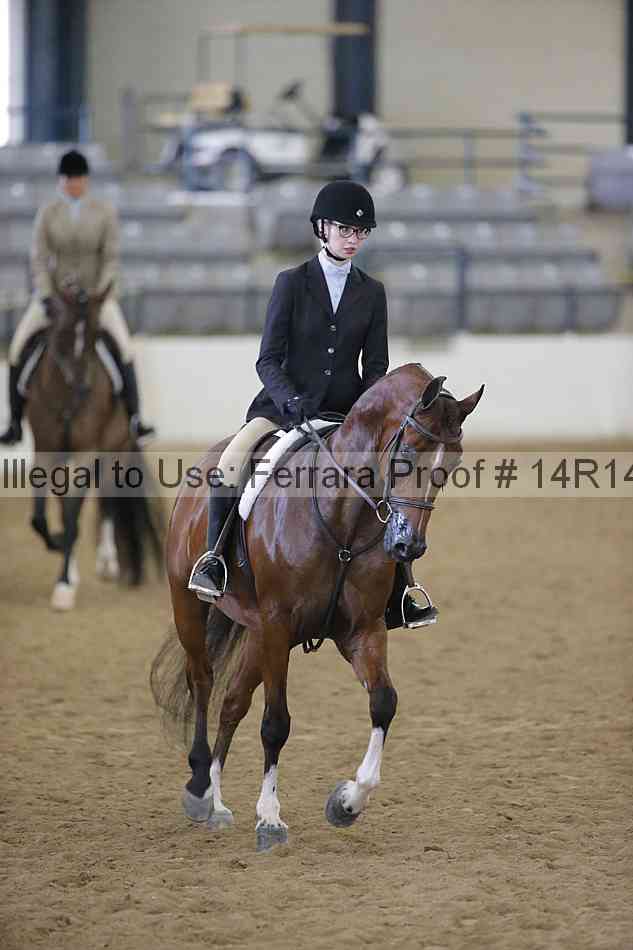 Proof Number 14r14_4504