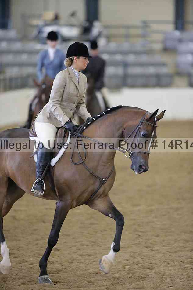 Proof Number 14r14_4508