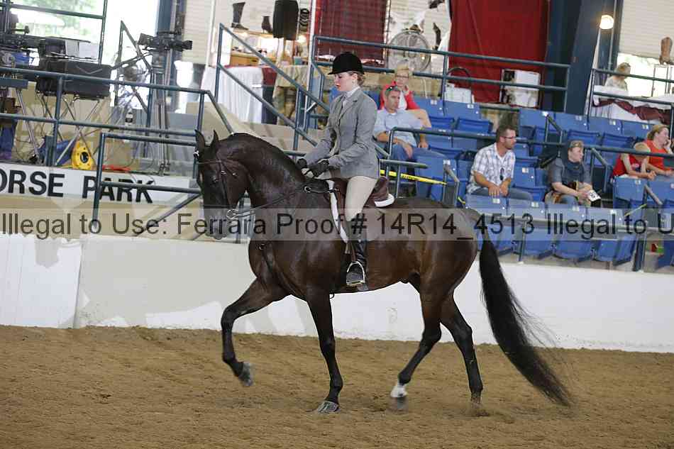 Proof Number 14r14_4513