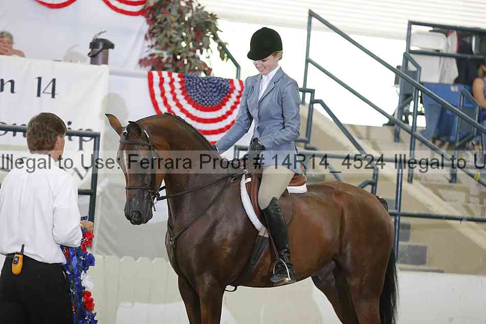 Proof Number 14r14_4524