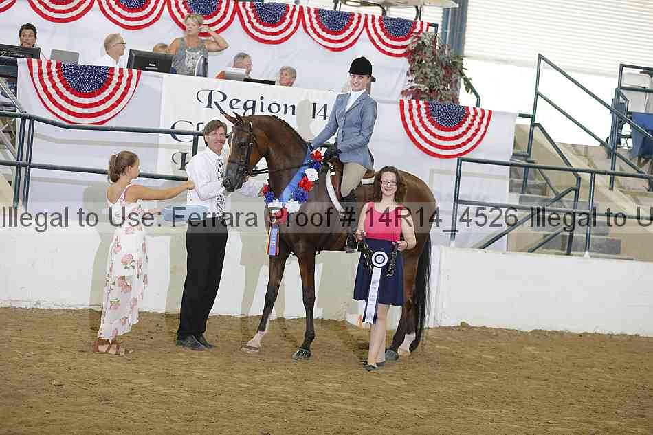 Proof Number 14r14_4526