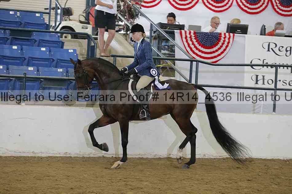 Proof Number 14r14_4536