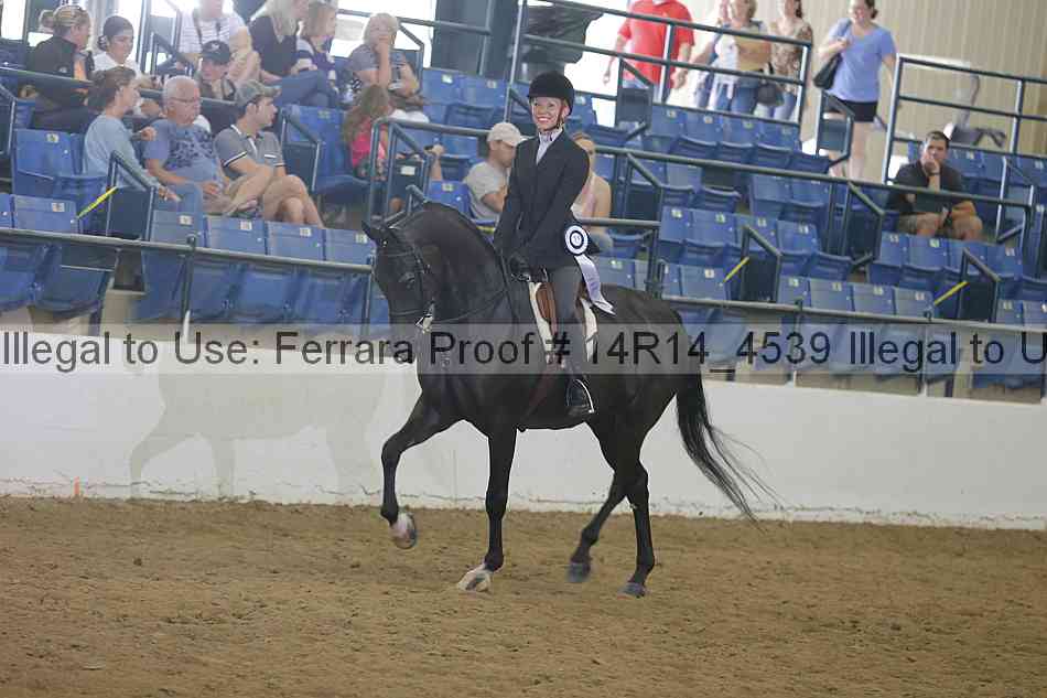 Proof Number 14r14_4539