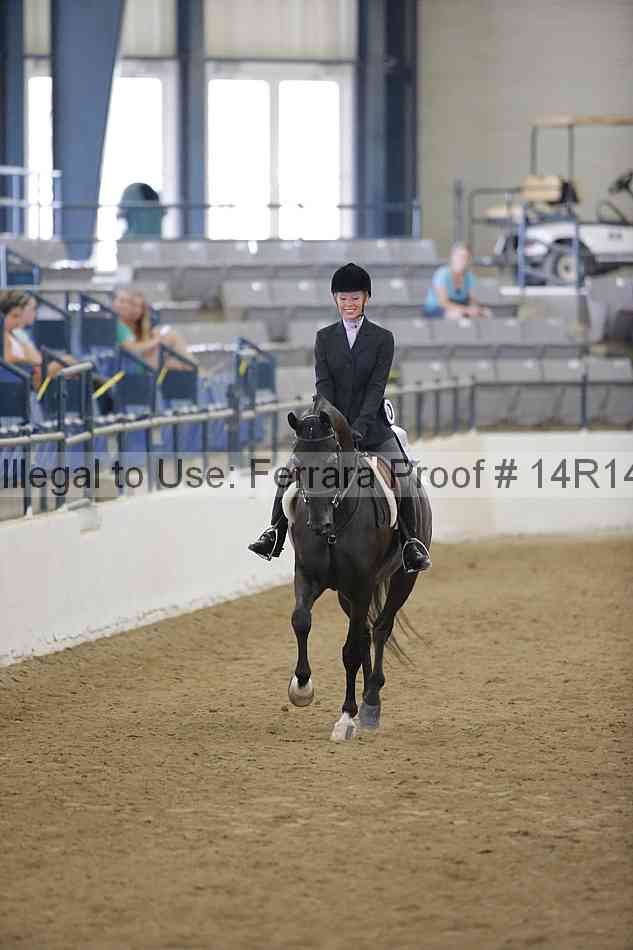 Proof Number 14r14_4541