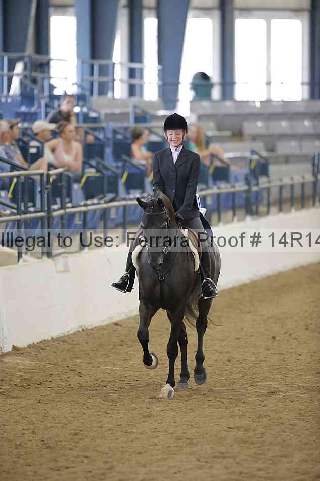 Proof Number 14r14_4542