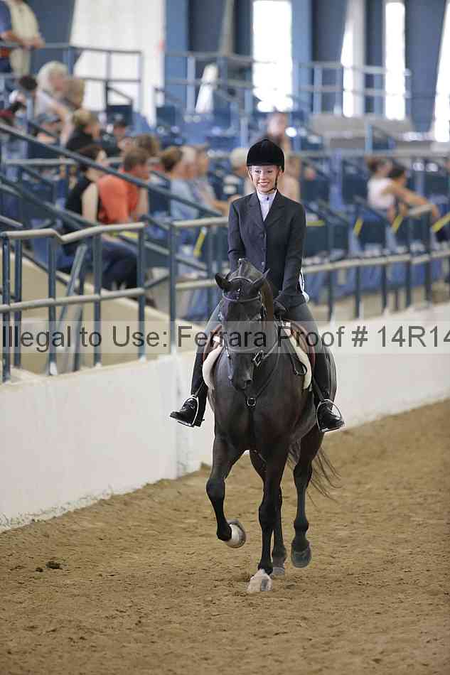 Proof Number 14r14_4543