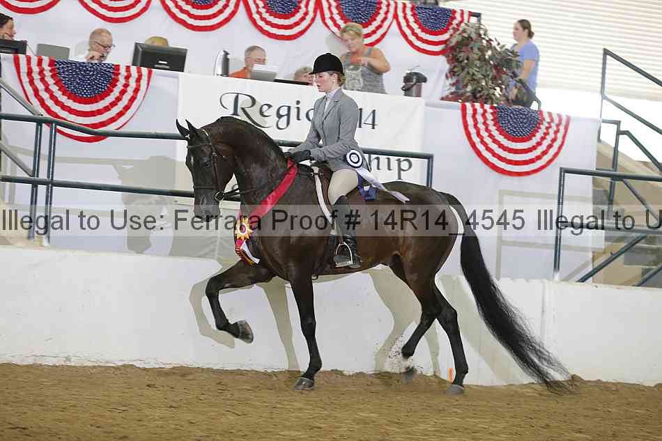 Proof Number 14r14_4545