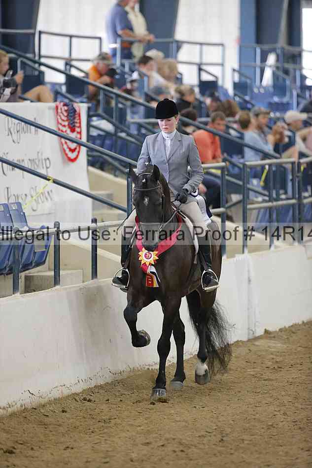 Proof Number 14r14_4546