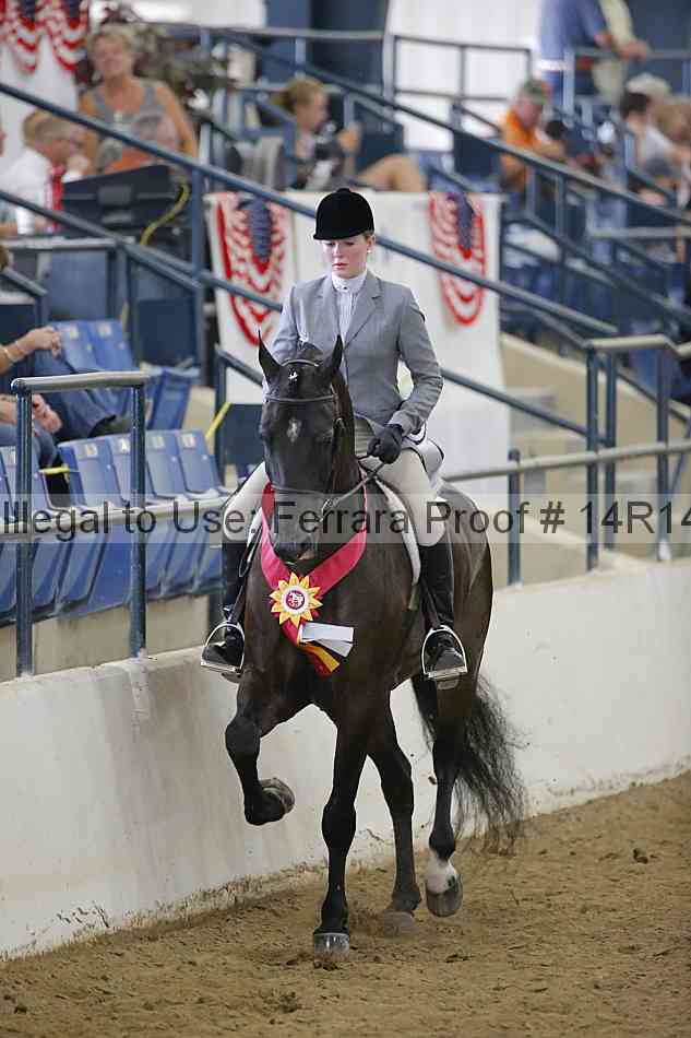 Proof Number 14r14_4547