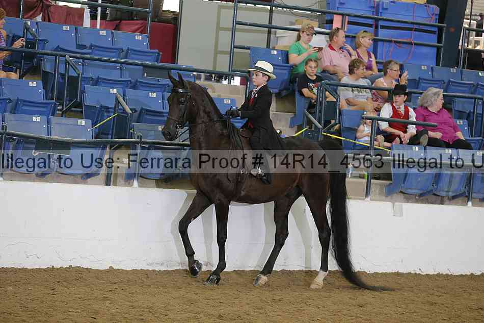 Proof Number 14r14_4563