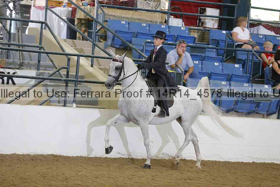 Proof Number 14r14_4578