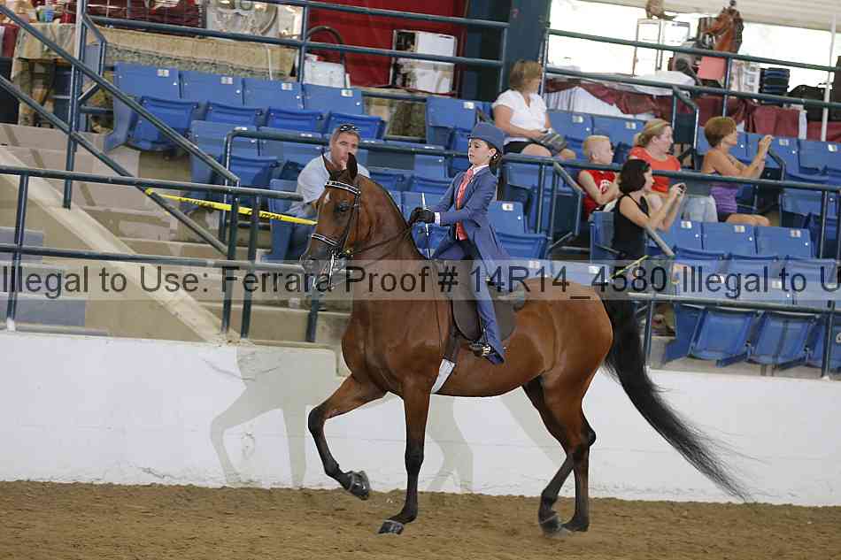 Proof Number 14r14_4580