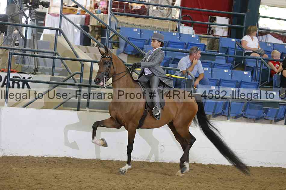 Proof Number 14r14_4582
