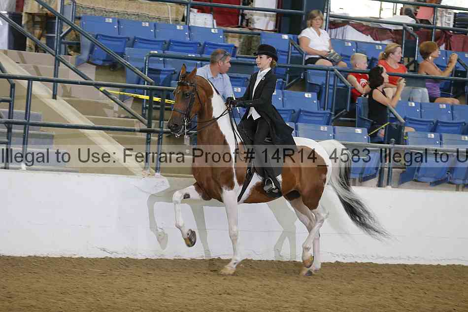 Proof Number 14r14_4583