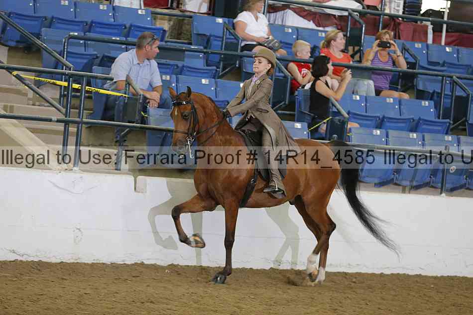 Proof Number 14r14_4585