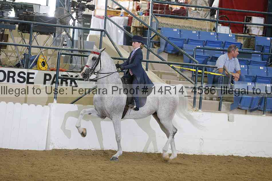 Proof Number 14r14_4586