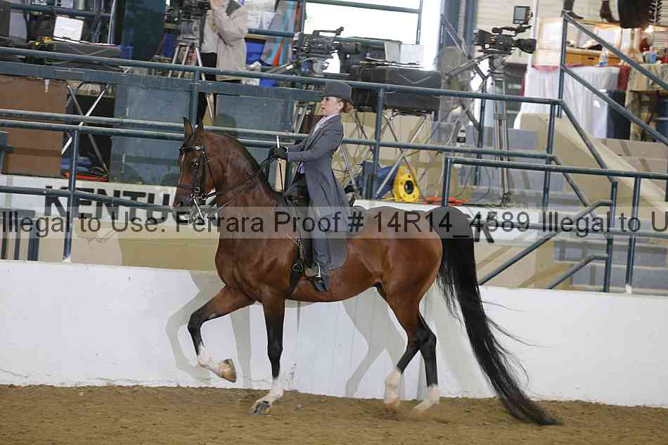 Proof Number 14r14_4589