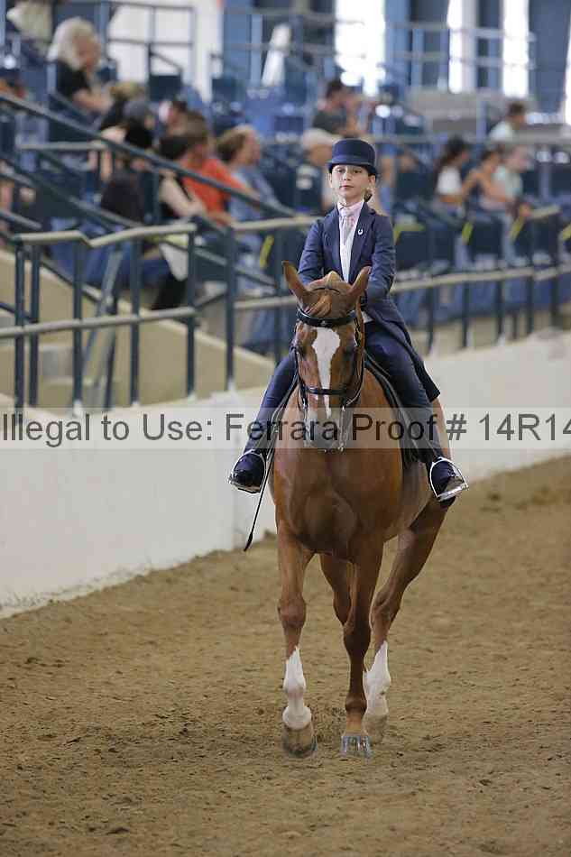Proof Number 14r14_4591