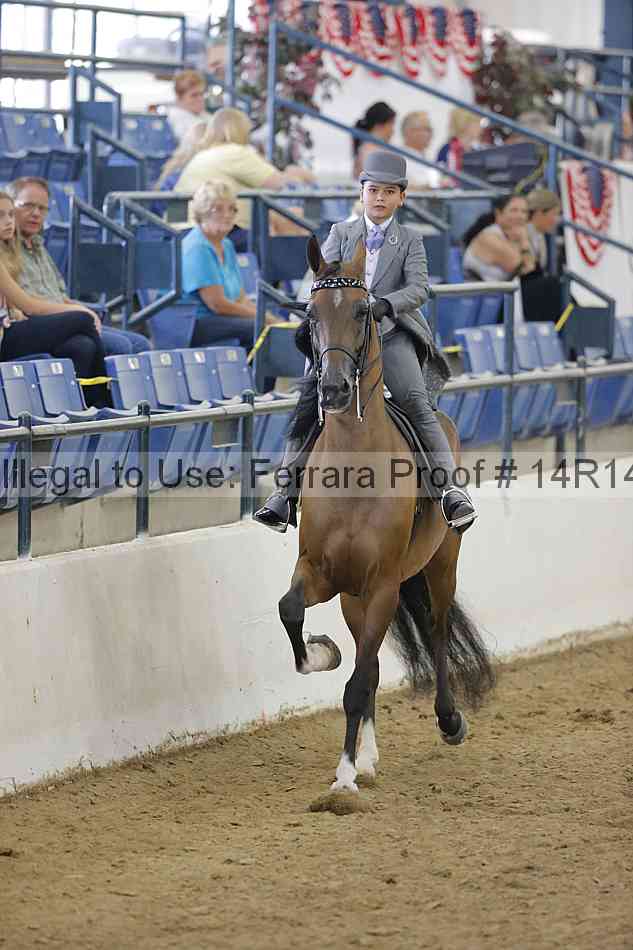 Proof Number 14r14_4592