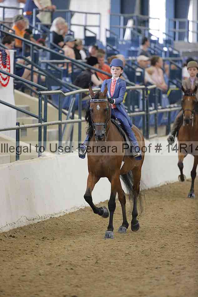 Proof Number 14r14_4593
