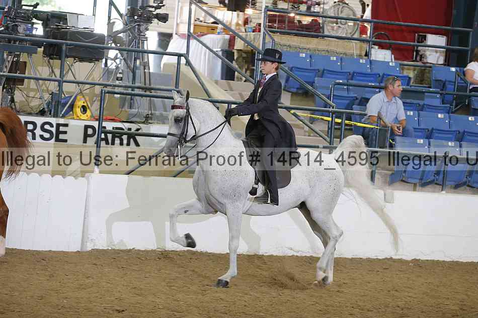 Proof Number 14r14_4595