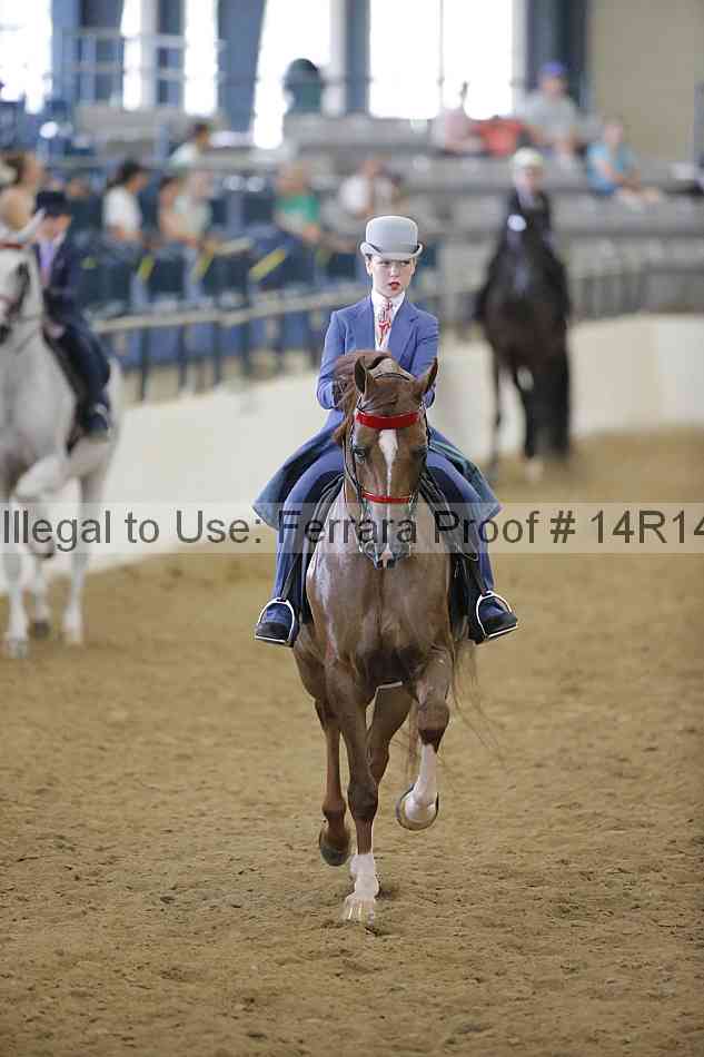 Proof Number 14r14_4596
