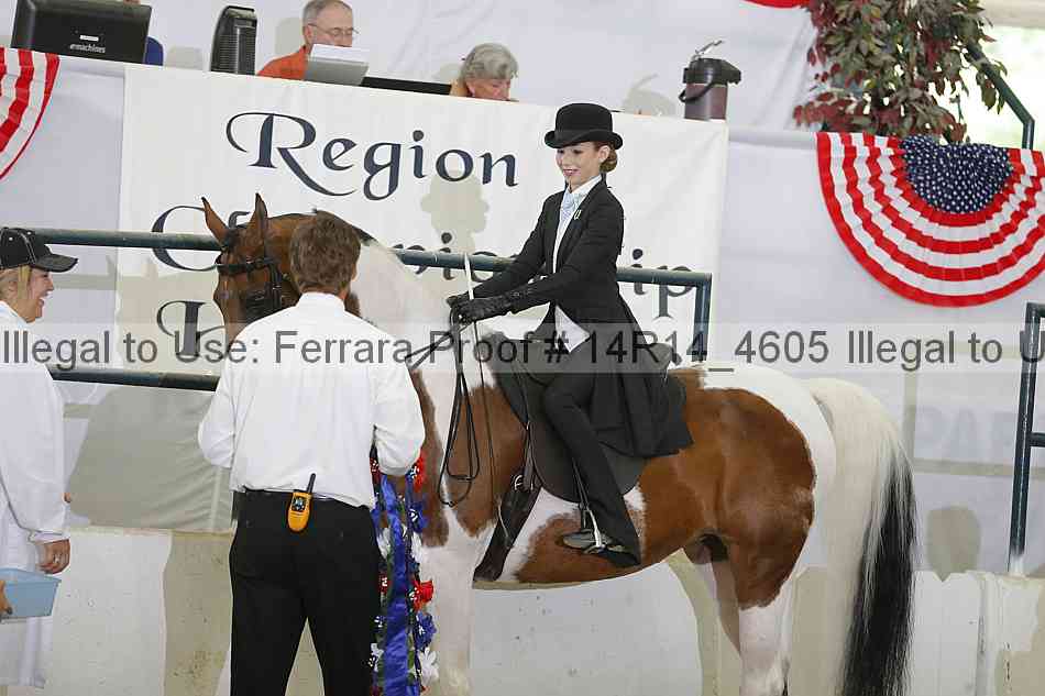 Proof Number 14r14_4605