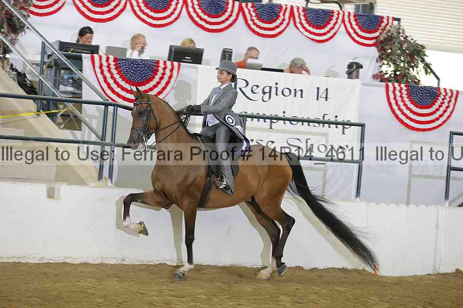 Proof Number 14r14_4611