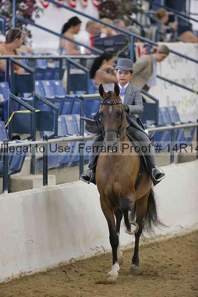 Proof Number 14r14_4613