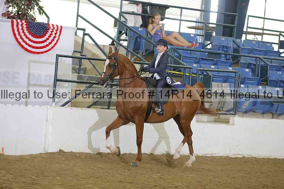 Proof Number 14r14_4614