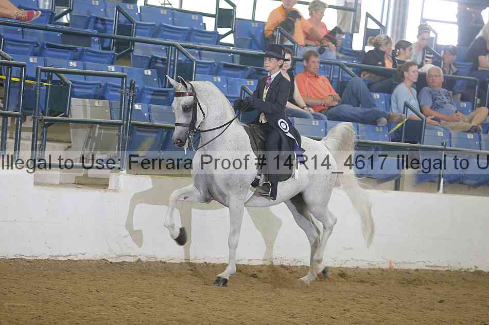 Proof Number 14r14_4617