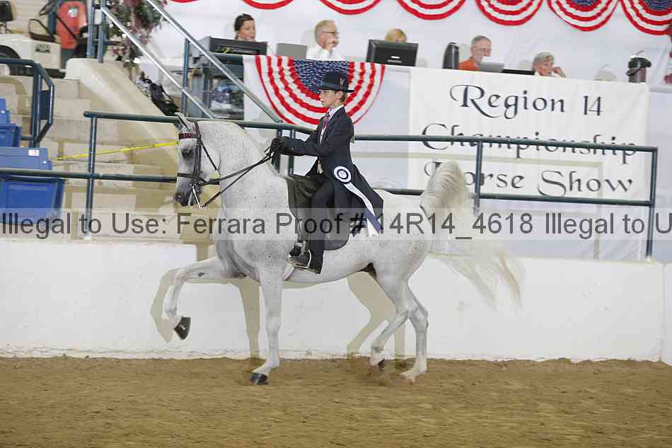Proof Number 14r14_4618