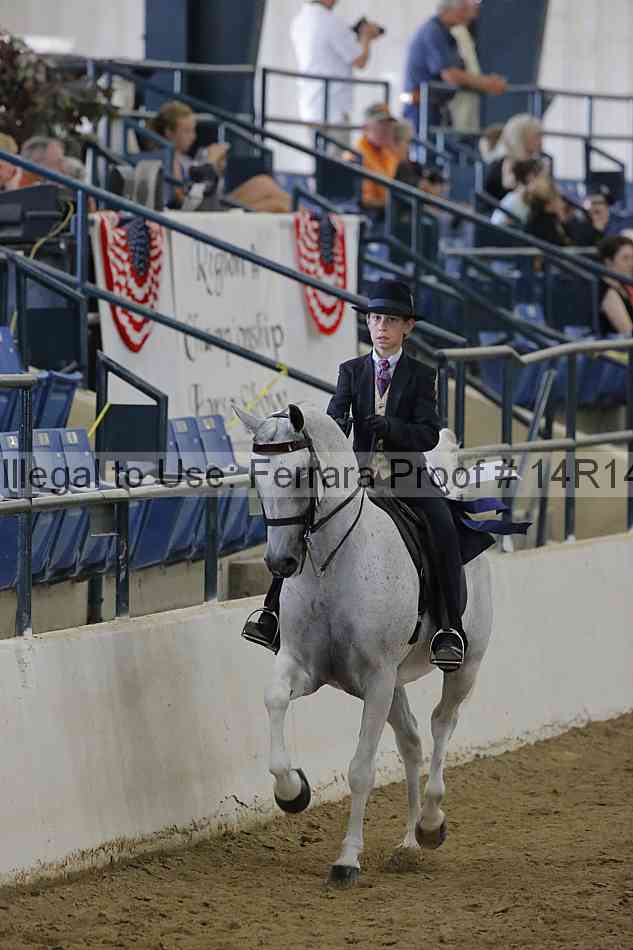 Proof Number 14r14_4619