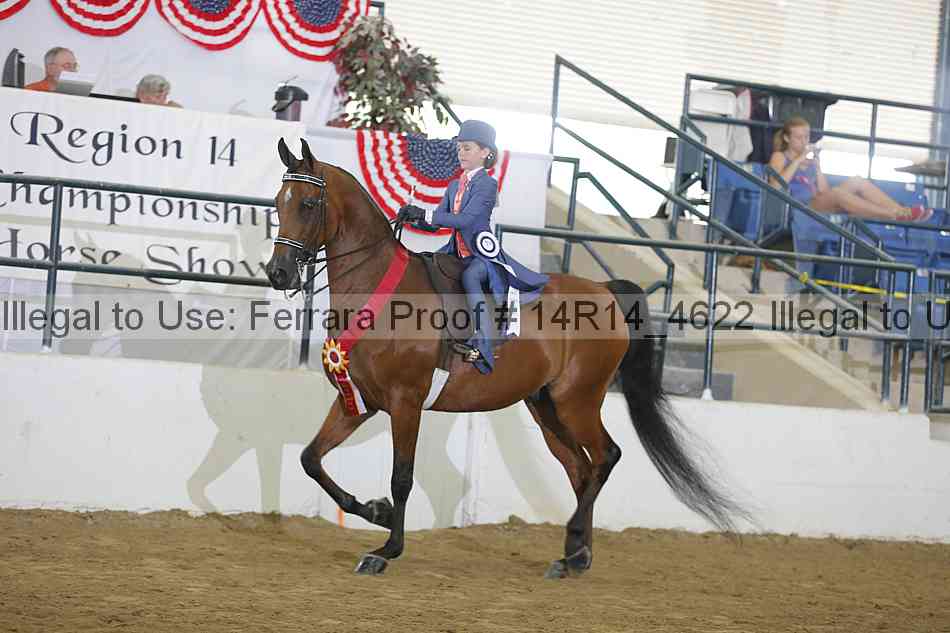 Proof Number 14r14_4622