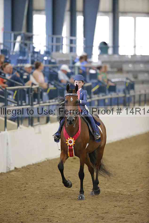 Proof Number 14r14_4624