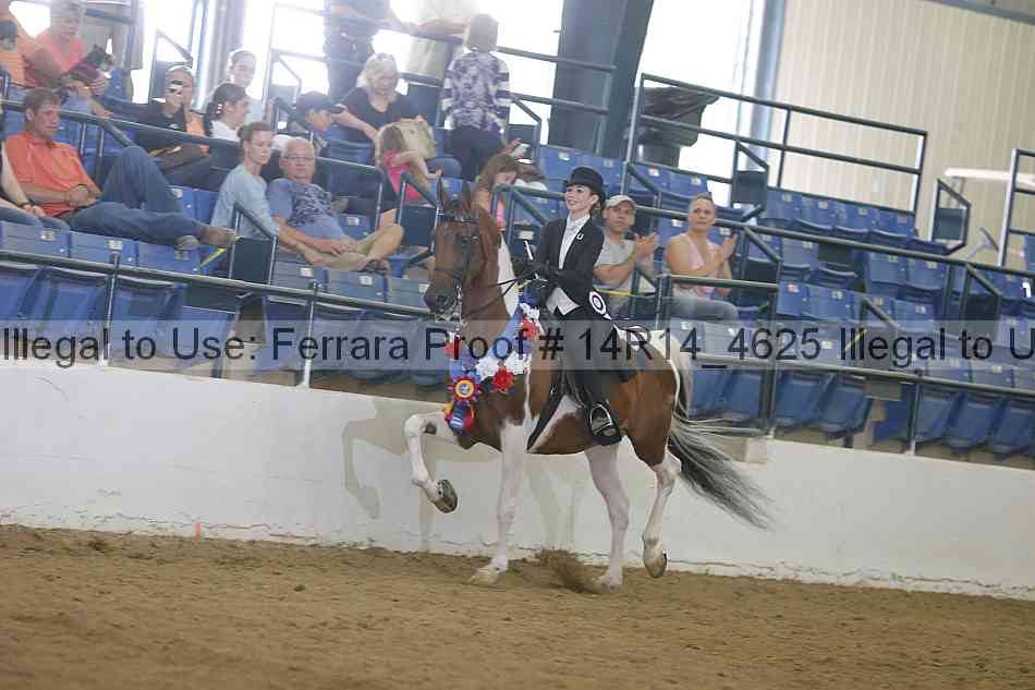 Proof Number 14r14_4625